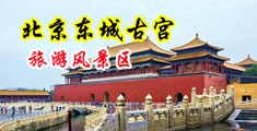 美女污片网站黄色视频鸡巴中国北京-东城古宫旅游风景区